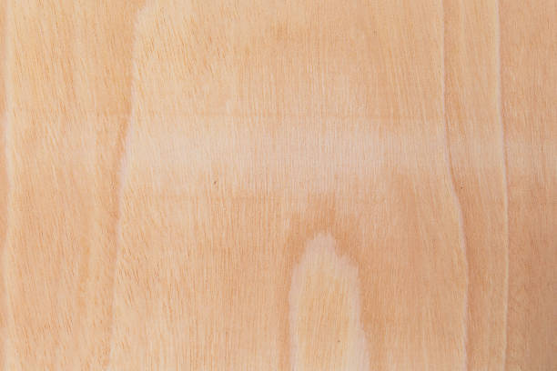 istock Light rough textured cut surface of an African tree. Wood background or blank for design 1336370273