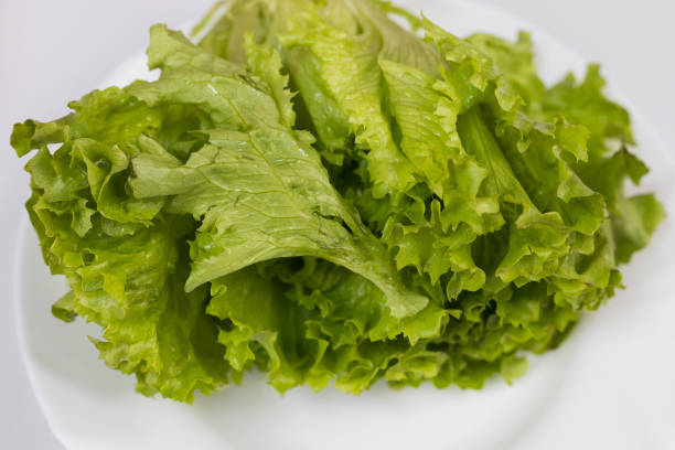 istock Raw ingredients for home cooking. Selective focus 1336371166