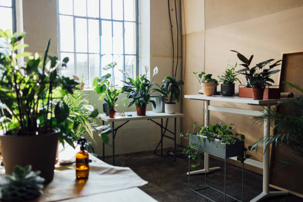 istock Beautiful Small Business Workshop with Various Flowers and Plants 1336372987