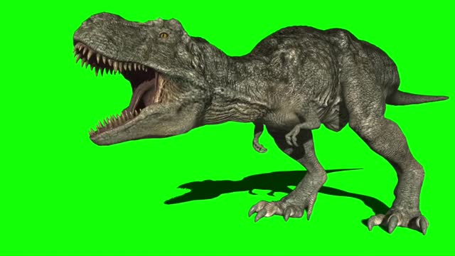 Tyrannosaurus rex Attacking on Green Screen