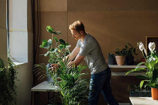 Happy ginger man taking care of his home plants on desk at workshop