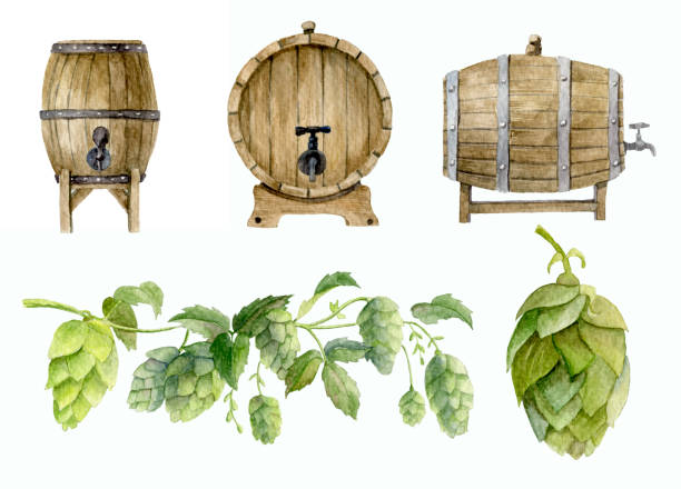 Watercolor set of oak Beer Barrels and hop Watercolor set of wooden oak Beer Barrels with botanical illustration of Hop. Hand painted sketch for Beer Fest design. Isolated objects on white background. Kegs for storing wine or whiskey. The green branch of Lupulus for Beer Fest Invitations water colour beer hops stock illustrations