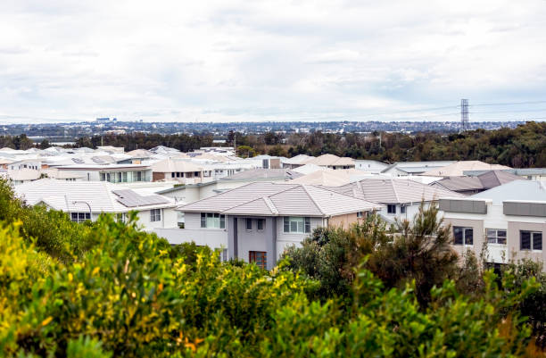 istock Elevated view of new suburb houses, Sutherland district, background with copy space 1336379596
