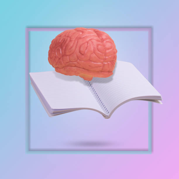 istock Creative idea made from a notebook and a human brain floating in the air on background illuminated by a blue and pink color gradient with frame 1336380996
