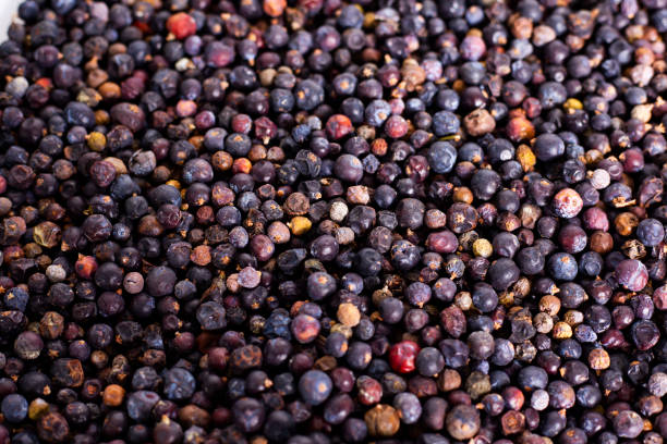 Background texture of dried juniper berries Background texture of dried juniper berries. top view Gin stock pictures, royalty-free photos & images