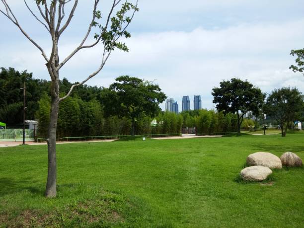 istock a view of the city park 1336393636