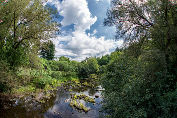 istock Summer view of a river 1336396825