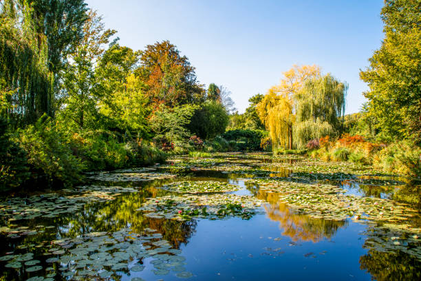 Monet's Japanese Bridge in Giverny, France Monet's famous Japanese bridge is seen from across a pond in his gardens in Giverny, France on a bright sunny day. giverny stock pictures, royalty-free photos & images