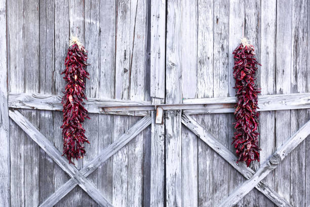 new mexico: lange chili-pfeffer-ristras an alten scheunentoren - wreath chili pepper pepper ristra stock-fotos und bilder