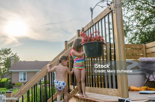 Two Kids Getting Around Pool Security Gate Stock Photo - Download Image Now - 2-3 Years, 4-5 Years, Boys