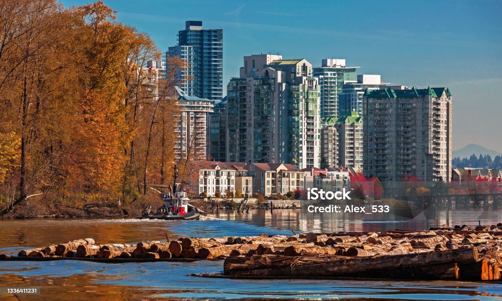 Tugboat going by River Industrial Zone  to New Westminster City A tug boat going along an industrial river zone. Cityscape with a section of a wooded park with yellow autumn trees. Floating timber in the foreground against a blue  sky New Westminster Stock Photo