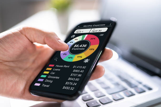 istock Budget Planning Fintech App. Money Tracker 1336414635
