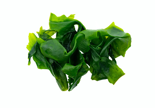 Top view healthy Japanese Wakame seaweeds, isolated beautiful Wakame seaweeds on white background.