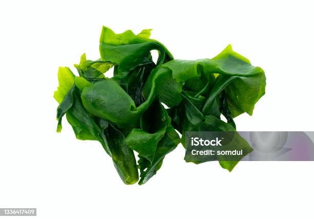 Top View Healthy Japanese Wakame Seaweeds Stock Photo - Download Image Now - Seaweed, Algae, Wakame
