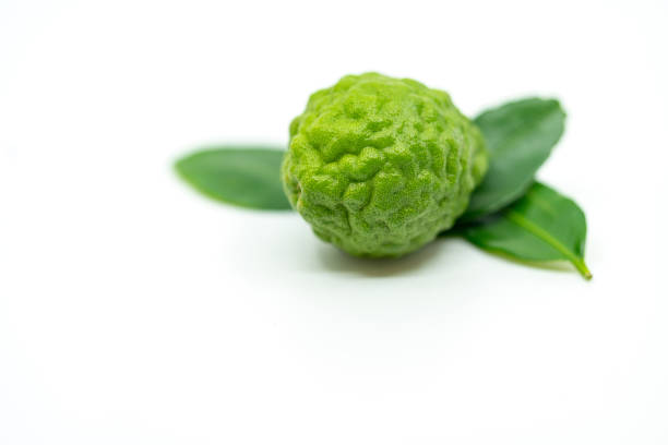 istock Isolated fresh bergamot fruit or kaffir lime on white background 1336417428