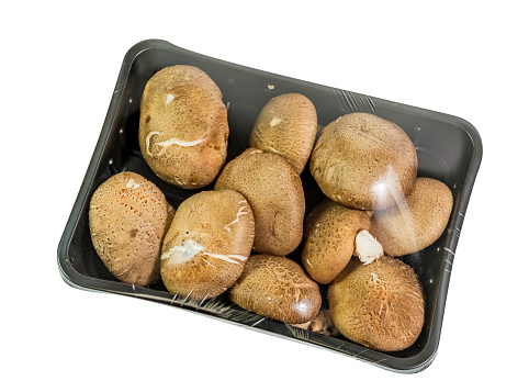 Shitake mushroom in a plastic pack, ready for sell