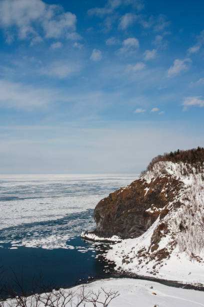 istock Sea with ice floes on shore 1336420475