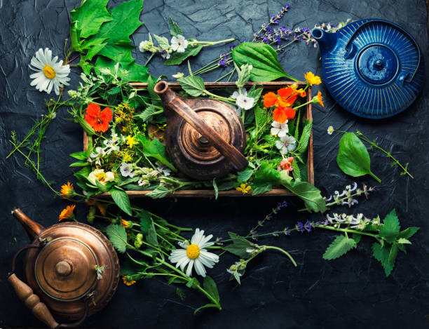 istock Teapot with fresh medicinal herbs 1336428365