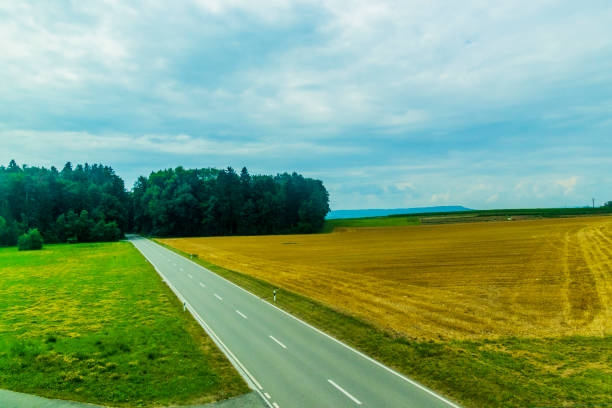 Straight dry asphalt country road in green agricultural field with short grass. Distant trees on the horizon and blue sky on sunny day