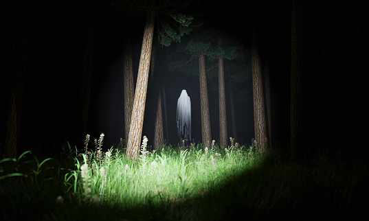 Ghost illuminated by a lantern in a mysterious forest with fog at night. Halloween concept. Horror, apparition, night exploration and fear. 3d rendering