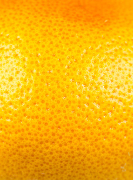 istock Close up photo of Grapefruit peel texture. Exotic ripe fruit, orange background, macro view. Human skin problem concept, acne and cellulite. Beautiful nature wallpaper. 1336432981