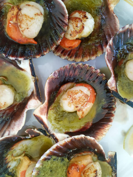 istock Aerial view of scallops cooked on a plate 1336434533
