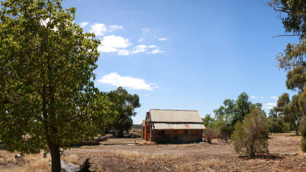 istock Panoramic view of a broken decaying old timber farmers workers home surrounded by native trees on a dry barren agricultural property, rural Victoria, Australia 1336434612