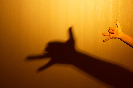 Shadow on wall in shape of fox made by child hand using light