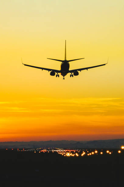 istock Airplane landing on the runway during sunset and dusk 1336438939