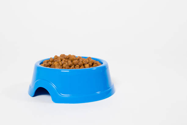 Balanced food, shop for animals