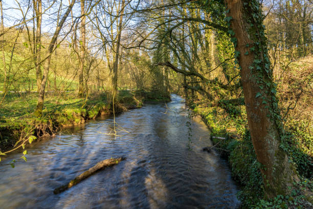 ein spaziergang durch das angertal in ratingen, nordrhein-westfalen, deutschland - ratingen stock-fotos und bilder