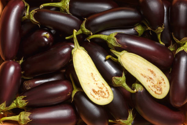 istock Lots of fresh raw eggplants. Food background. 1336440780