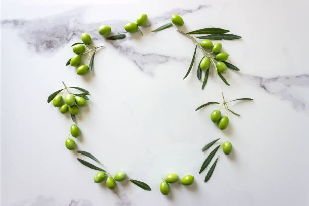 istock Ripe green olives on a branch. 1336440923