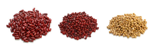 istock Group of bean isolated on white back ground 1336441358
