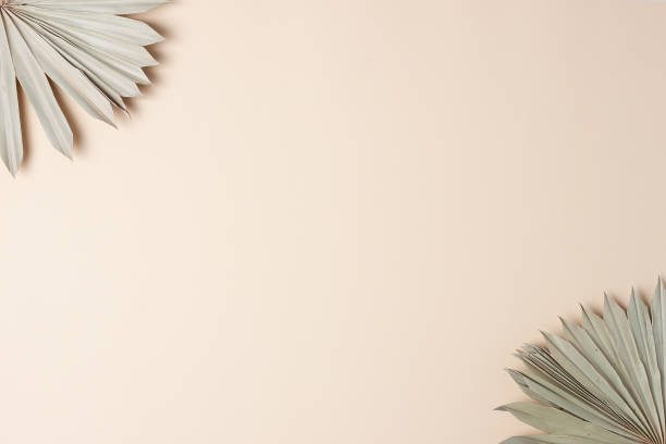 istock Tropical background with palm leaf on pastel beige. Flat lay, copy space 1336442519