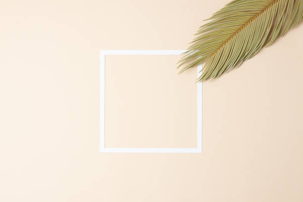 istock Tropical background with palm leaf and white frame on pastel beige. Flat lay, copy space 1336442532