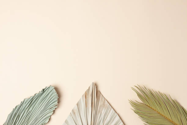 istock Tropical background with palm leaf on pastel beige. Flat lay, copy space 1336442533
