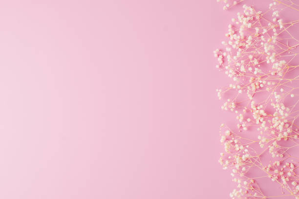 istock Cosmetic background with flowers on pink. Flat lay, copy space 1336442536
