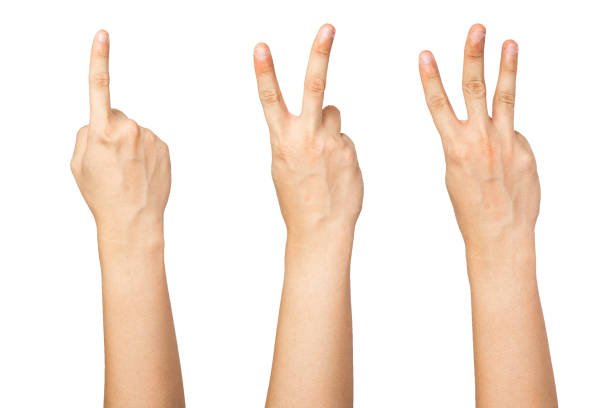 istock Compilation of hand counting hand gesture isolated with white background 1336443472