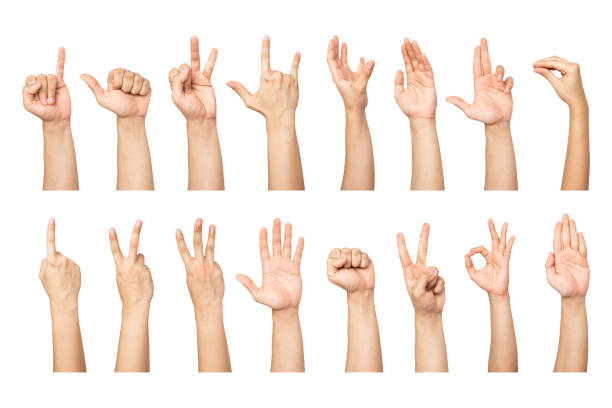istock Compilation of random hand gestures isolated with white background 1336443486