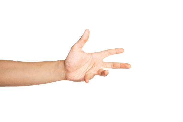 istock Close up of open hand isolated with white background 1336444039