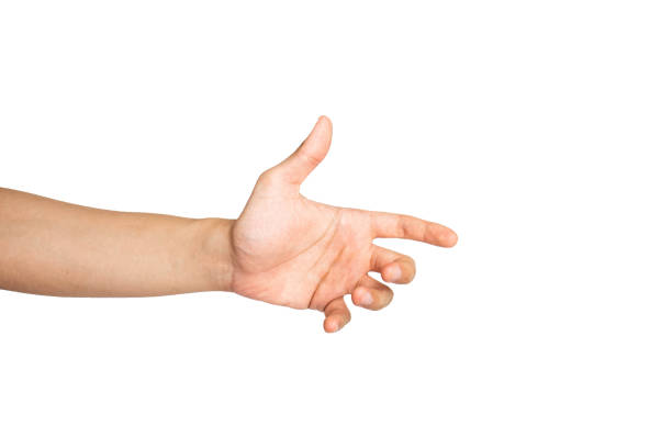 istock Close up of hand holding object isolated with white background 1336444106