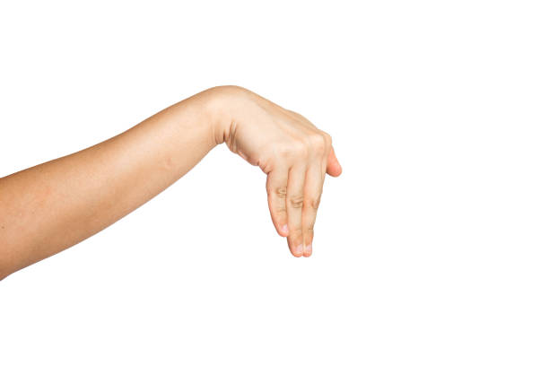 Close up of snake head gesture isolated with white background