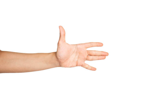 istock Close up of open hand isolated with white background 1336444187