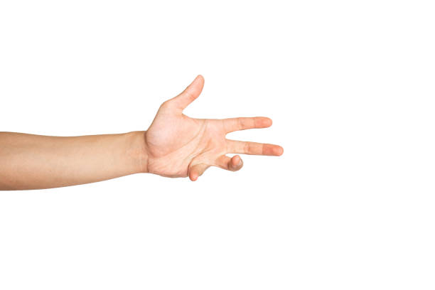 istock Close up of begging hands isolated with white background 1336444202