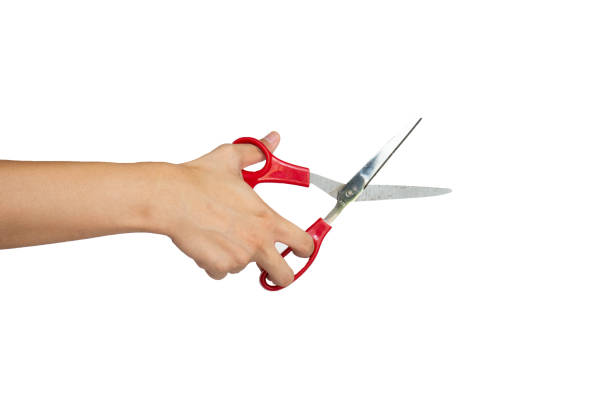 istock Close up of hand holding scissors isolated with white background 1336444838