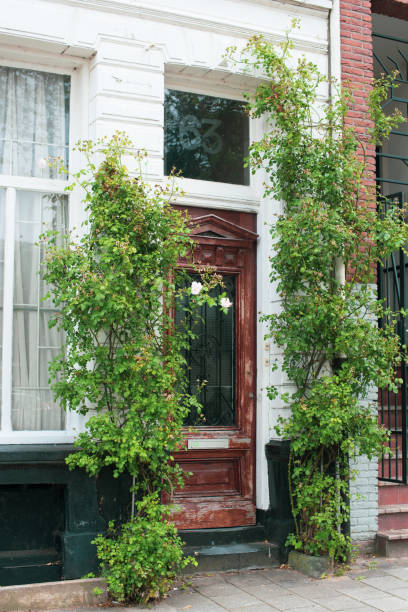 istock Amsterdam building with ivy plants 1336445373