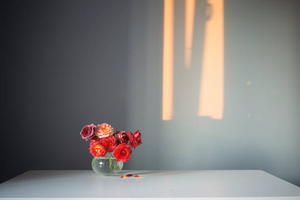istock red roses in glass vase on gray background 1336446372