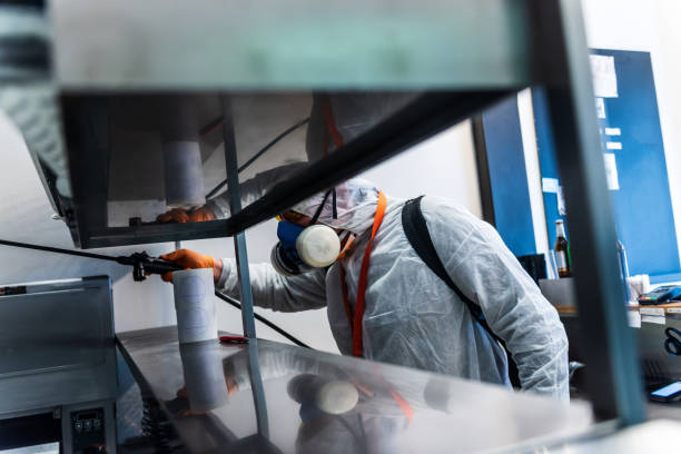 istock Disinfection during COVID-19 pandemic 1336446931