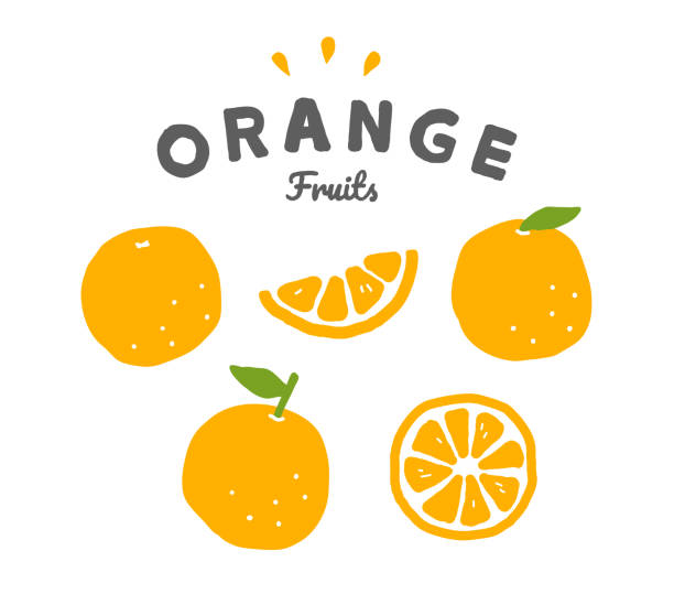 zestaw ilustracji pomarańczowych doodli. - orange white illustrations stock illustrations